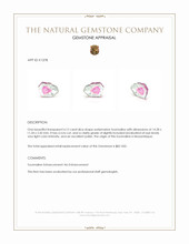 4.12 Ct. Tourmaline from Mozambique Appraisal