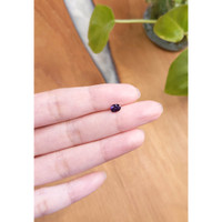 0.50 Ct. Spinel from Ceylon (Sri Lanka) Life Style