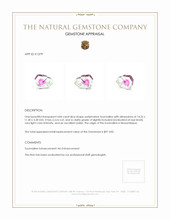 4.84 Ct. Tourmaline from Mozambique Appraisal