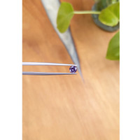 0.53 Ct. Spinel from Ceylon (Sri Lanka) Life Style