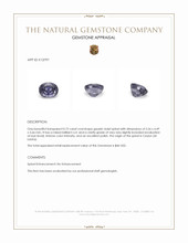 0.72 Ct. Greyish Violet Spinel from Ceylon (Sri Lanka) Appraisal