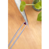 0.51 Ct. Spinel from Ceylon (Sri Lanka) Life Style