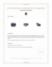 0.53 Ct. Spinel from Ceylon (Sri Lanka) Appraisal