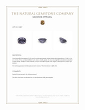 Jewelry Appraisal