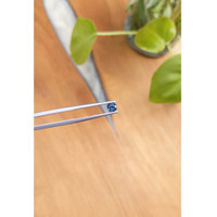 0.47 Ct. Spinel from Ceylon (Sri Lanka) Life Style