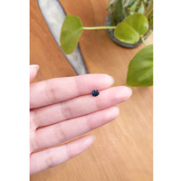 0.58 Ct. Spinel from Ceylon (Sri Lanka) Life Style