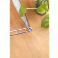 0.47 Ct. Spinel from Ceylon (Sri Lanka) Life Style