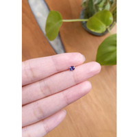 0.34 Ct. Spinel from Ceylon (Sri Lanka) Life Style