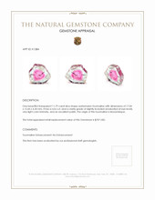 11.79 Ct. Tourmaline from Mozambique Appraisal