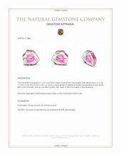 11.79 Ct. Tourmaline from Mozambique Appraisal