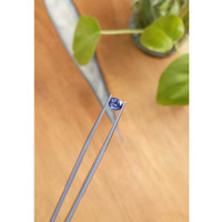 0.74 Ct. Spinel from Ceylon (Sri Lanka) Life Style