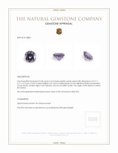 0.48 Ct. Spinel from Ceylon (Sri Lanka) Appraisal
