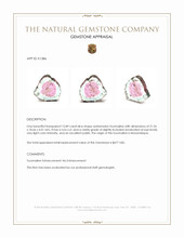 15.89 Ct. Tourmaline from Mozambique Appraisal