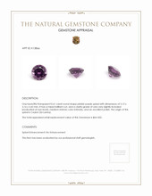 0.61 Ct. Spinel from Ceylon (Sri Lanka) Appraisal