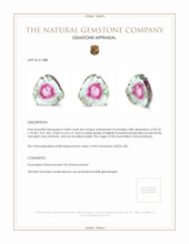 18.83 Ct. Tourmaline from Mozambique Appraisal