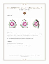 18.83 Ct. Tourmaline from Mozambique Appraisal