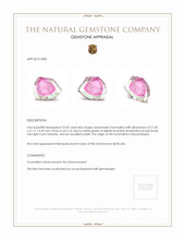 22.60 Ct. Tourmaline from Mozambique Appraisal