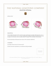 24.20 Ct. Tourmaline from Mozambique Appraisal