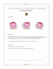 24.20 Ct. Tourmaline from Mozambique Appraisal