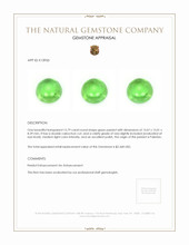 15.79 Ct. Cabochon Peridot from Pakistan Appraisal
