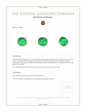 3.77 Ct. Tsavorite Garnet from Tanzania Appraisal