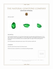 1.05 Ct. Tsavorite Garnet from Tanzania Appraisal