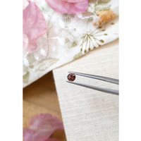 0.66 Ct. Spinel from Ceylon (Sri Lanka) Life Style