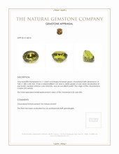 4.11 Ct. Chrysoberyl from Ceylon (Sri Lanka) Appraisal