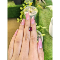 3.31 Ct. Garnet from Ceylon (Sri Lanka) Life Style