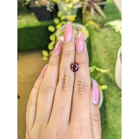 3.15 Ct. Garnet from Ceylon (Sri Lanka) Life Style