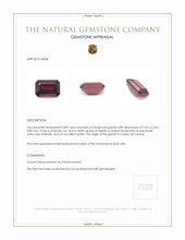 2.89 Ct. Garnet from Ceylon (Sri Lanka) Appraisal