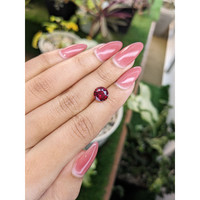 2.72 Ct. Garnet from Ceylon (Sri Lanka) Life Style