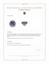 1.10 Ct. Spinel from Ceylon (Sri Lanka) Appraisal