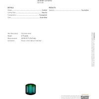 Jewelry Scan Report