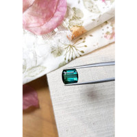 4.19 Ct. Tourmaline from Mozambique Life Style