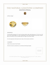 3.74 Ct. Citrine from Brazil Appraisal