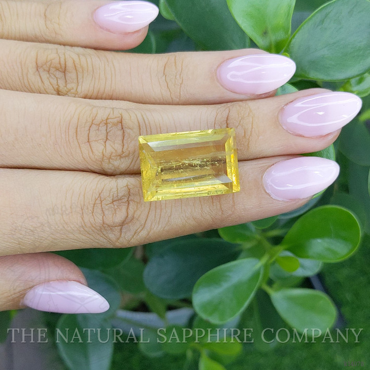 22.71 Ct. Beryl from Ceylon (Sri Lanka)