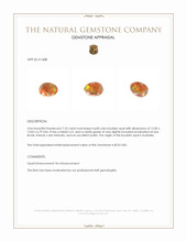 7.53 Ct. Boulder Opal from Australia Appraisal