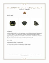 1.75 Ct. Brownish Green Tourmaline from Ceylon (Sri Lanka) Appraisal