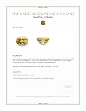 4.23 Ct. Citrine from Brazil Appraisal