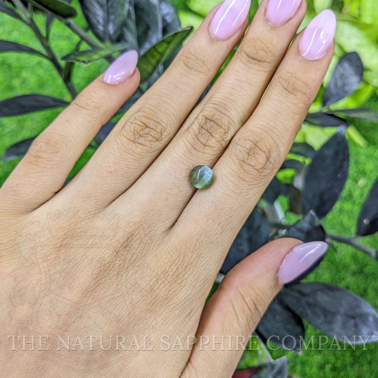 2.68 Ct. Cabochon Chrysoberyl from Ceylon (Sri Lanka)