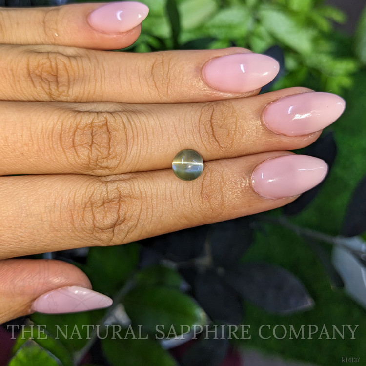 2.68 Ct. Cabochon Chrysoberyl from Ceylon (Sri Lanka)