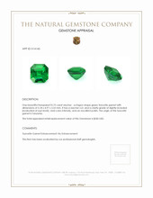 0.75 Ct. Tsavorite Garnet from Tanzania Appraisal