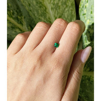 0.81 Ct. Tsavorite Garnet from Tanzania Life Style