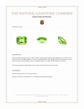 4.71 Ct. Green (Lime Green) Peridot from Tanzania Appraisal