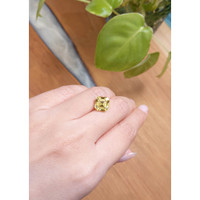 6.28 Ct. Zircon from Ceylon (Sri Lanka) Life Style