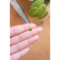 0.59 Ct. Demantoid Garnet from Madagascar Life Style