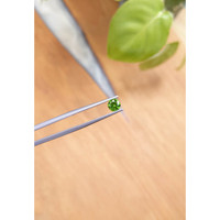 0.59 Ct. Demantoid Garnet from Madagascar Life Style