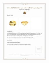 4.14 Ct. Citrine from Brazil Appraisal