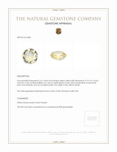 2.61 Ct. Citrine from Brazil Appraisal